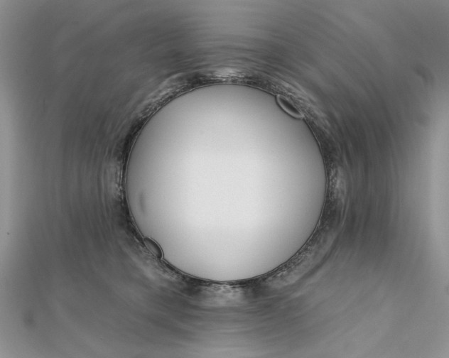 X0000112480421200908311415