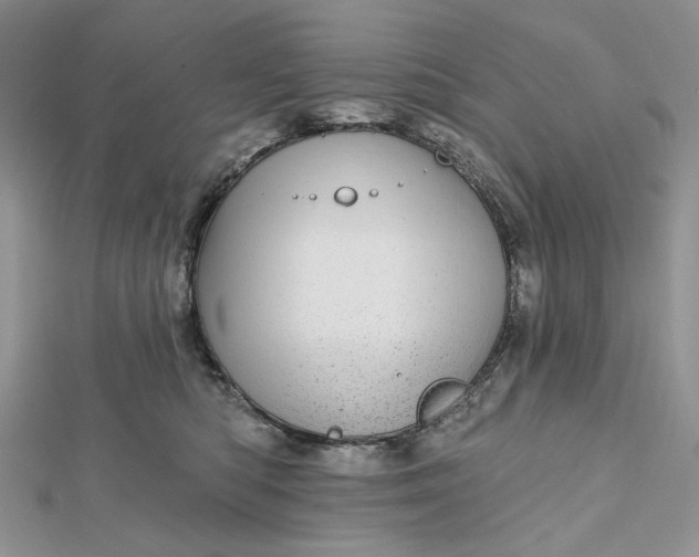 X0000112480422200908311415