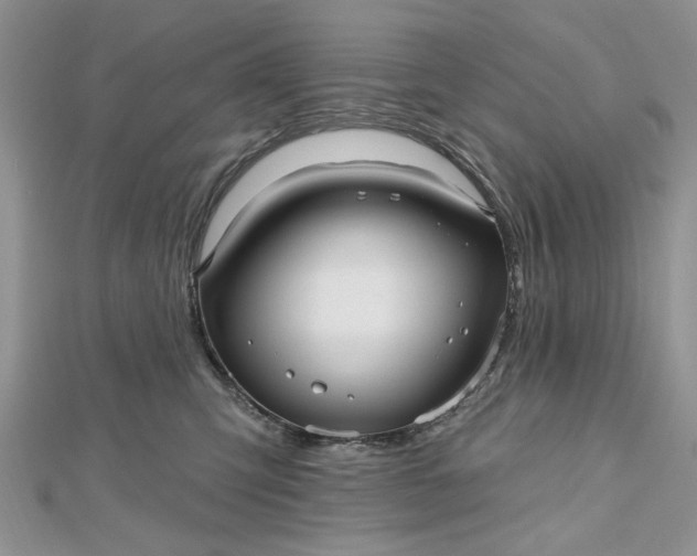 X0000112480423200908311415