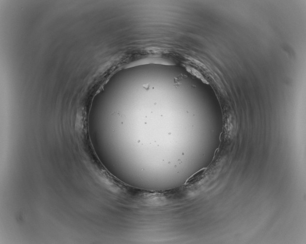 X0000112480424200908311415