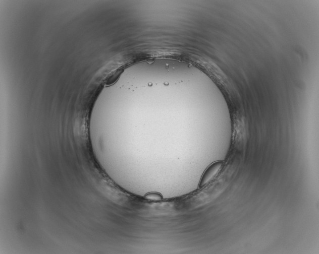 X0000112480426200908311415