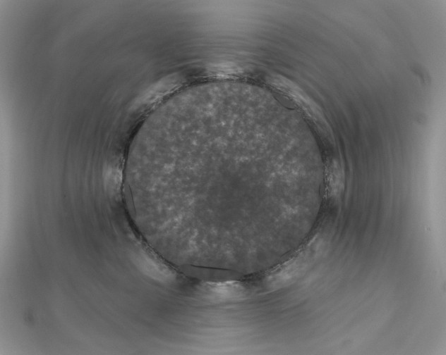 X0000112480427200908311415