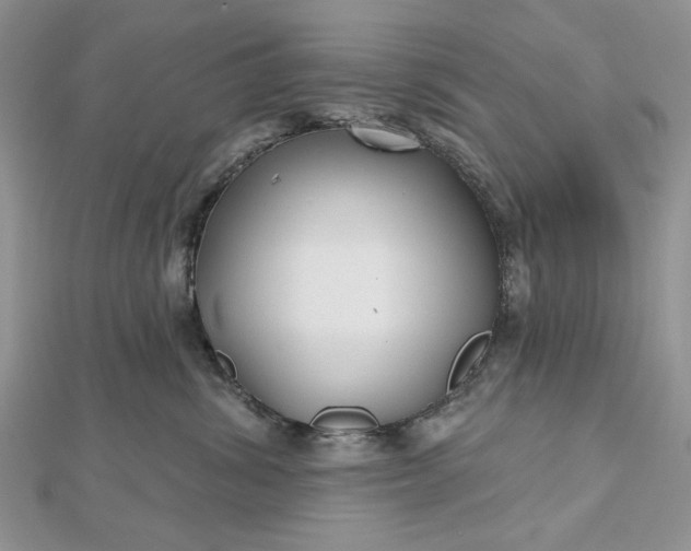 X0000112480428200908311415