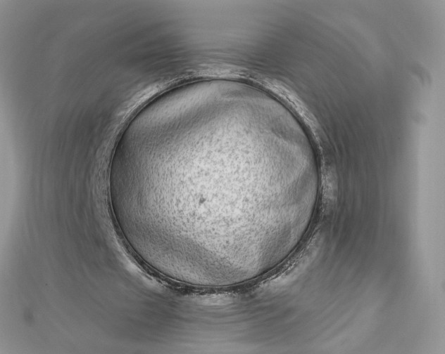 X0000112480433200908311414