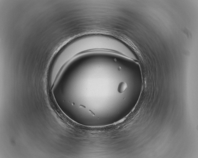 X0000112480436200908311414