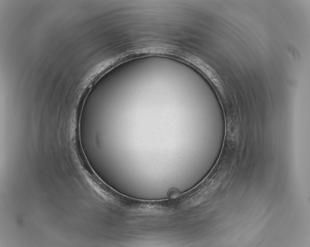 X0000112480437200908311414