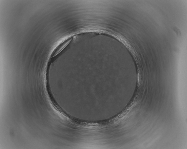 X0000112480438200908311414