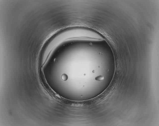 X0000112480440200908311414