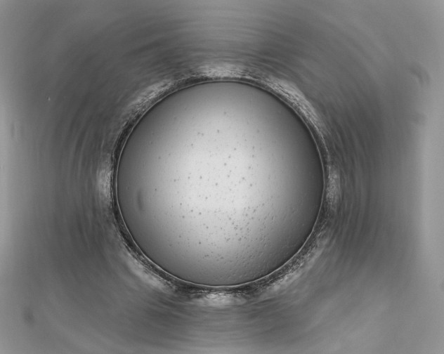 X0000112480441200908311414