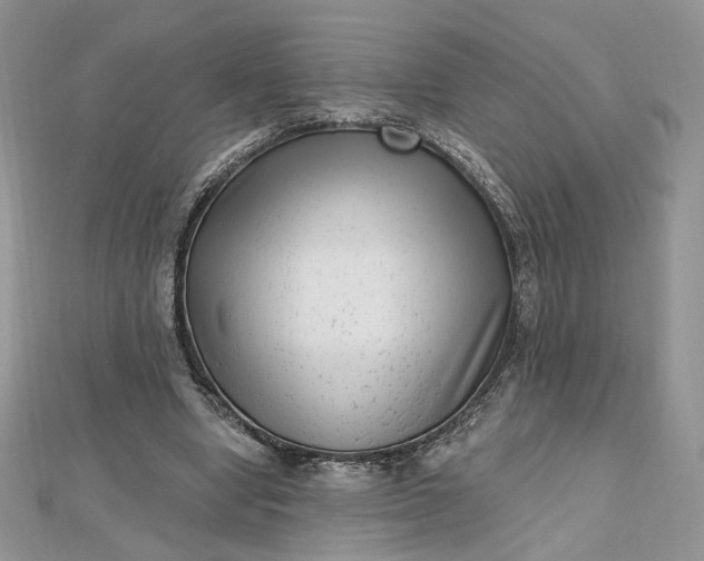 X0000112480442200908311414