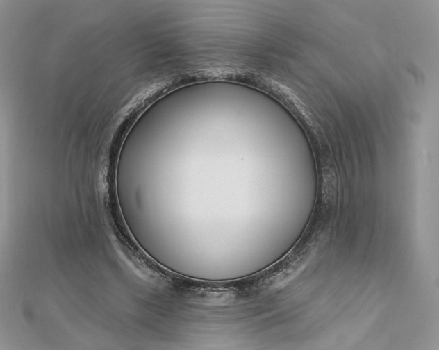 X0000112480443200908311414