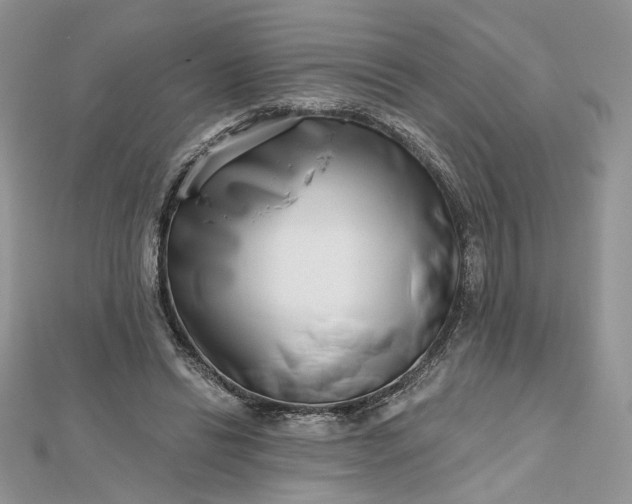 X0000112480446200908311414