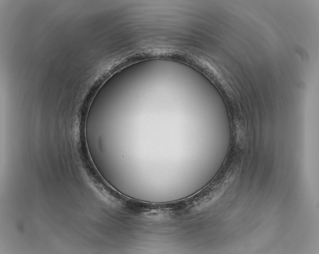 X0000112480447200908311414