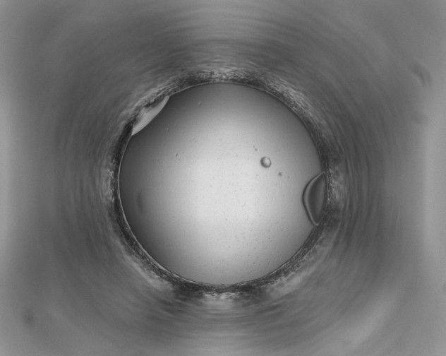 X0000112480450200908311414