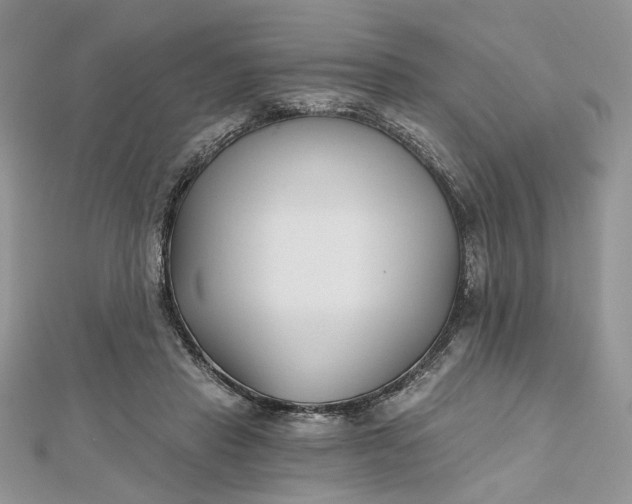 X0000112480453200908311414