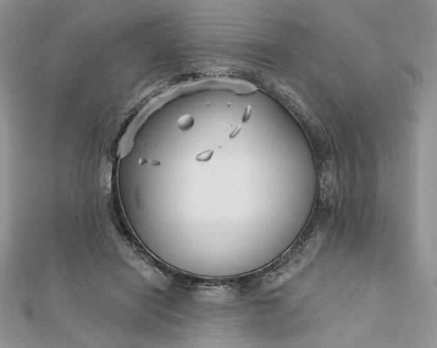 X0000112480454200908311414