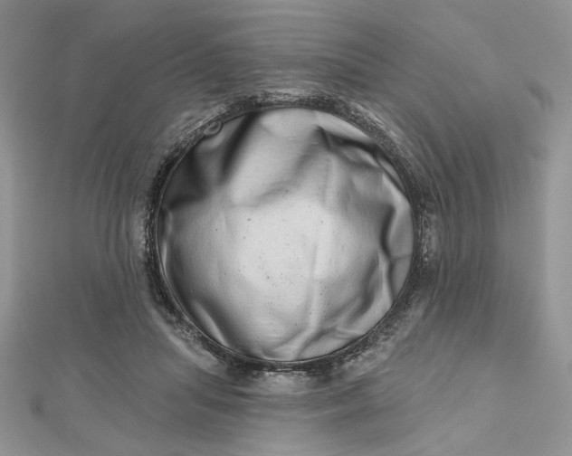 X0000112480455200908311414