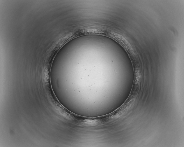 X0000112480457200908311414