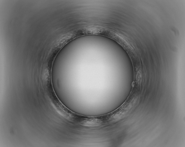 X0000112480459200908311414