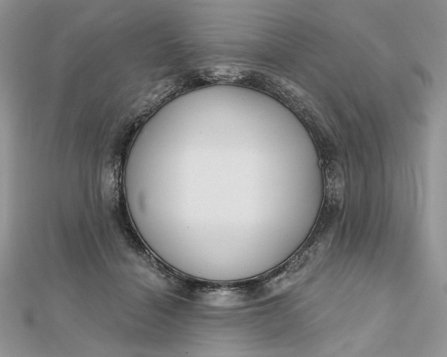 X0000112480460200908311414