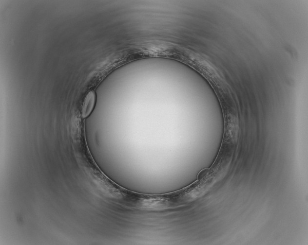 X0000112480461200908311414