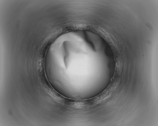 X0000112480462200908311414