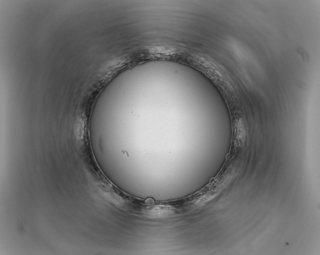 X0000112480463200908311415