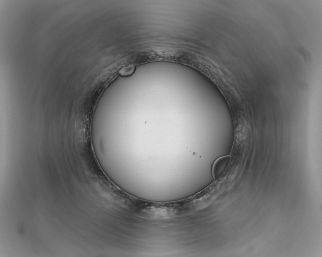 X0000112480464200908311415