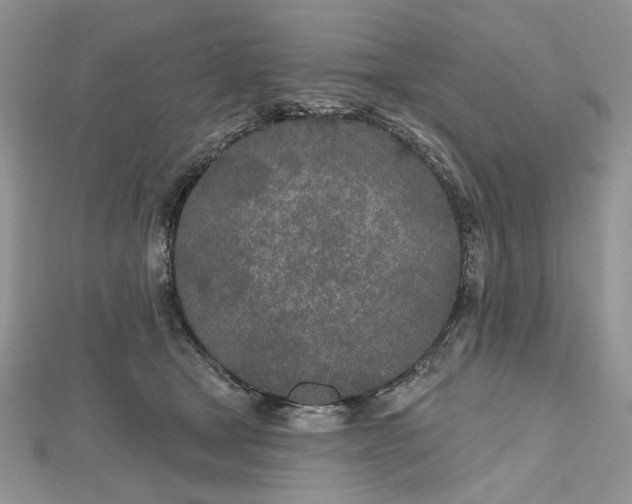 X0000112480465200908311415