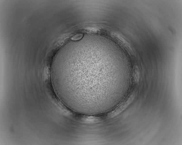 X0000112480467200908311415