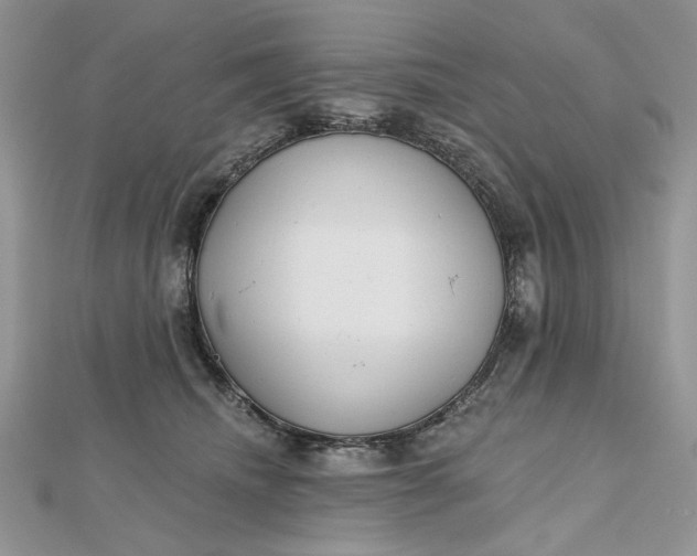 X0000112480468200908311415