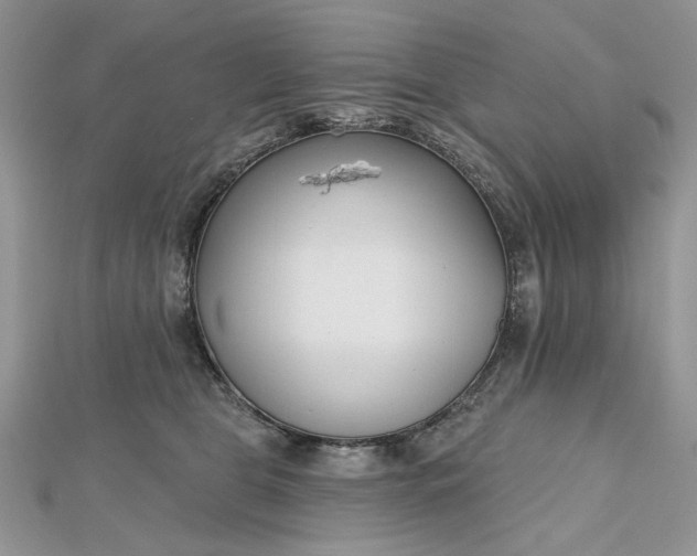 X0000112480469200908311415