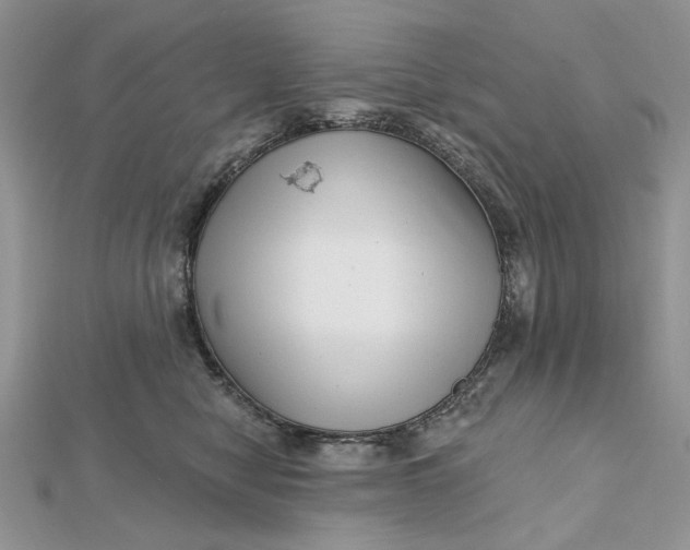 X0000112480470200908311415