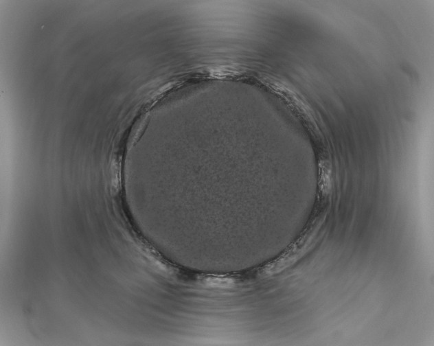 X0000112480471200908311415