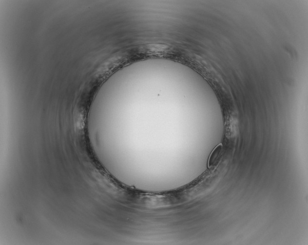 X0000112480472200908311415