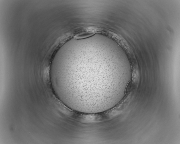 X0000112480473200908311415