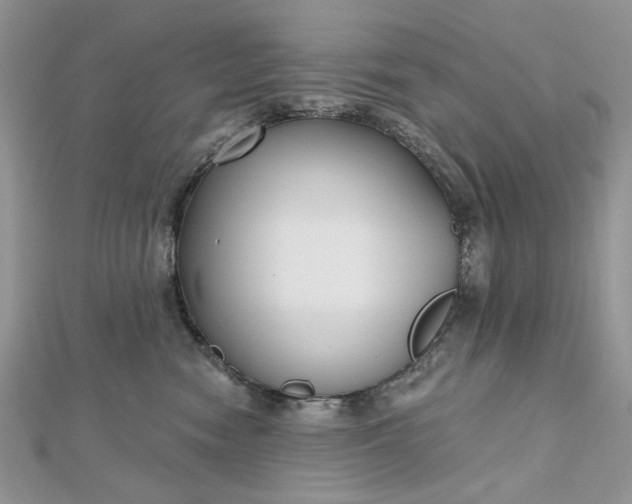 X0000112480474200908311415