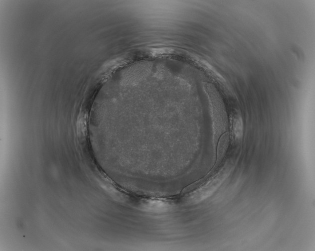 X0000112480475200908311415