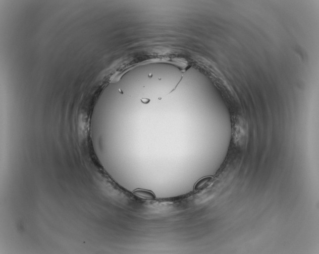 X0000112480476200908311415