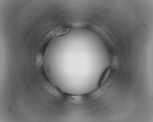 X0000112480478200908311415