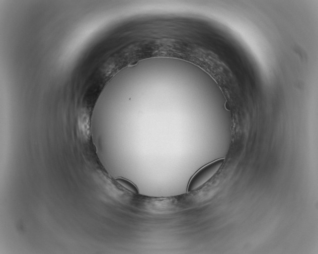 X0000112480479200908311415