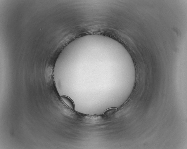 X0000112480480200908311415