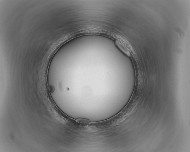 X0000112480481200908311414