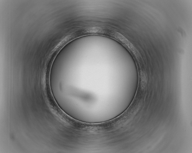 X0000112480482200908311414