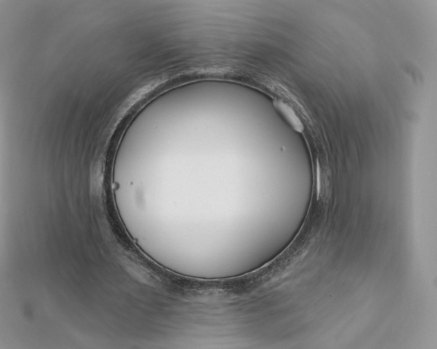 X0000112480483200908311414