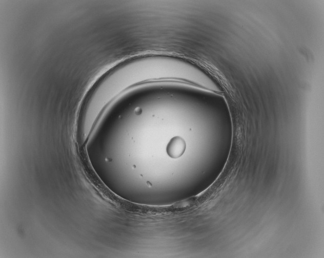 X0000112480484200908311414