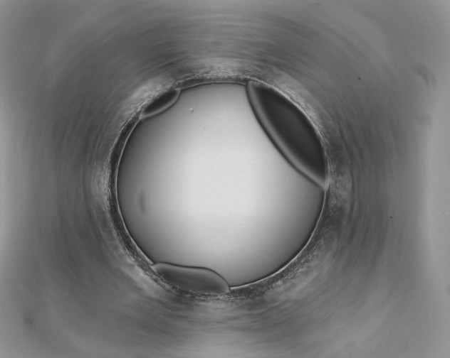 X0000112480485200908311414