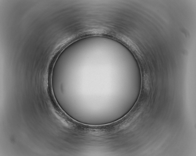 X0000112480486200908311414