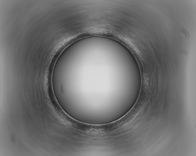 X0000112480487200908311414