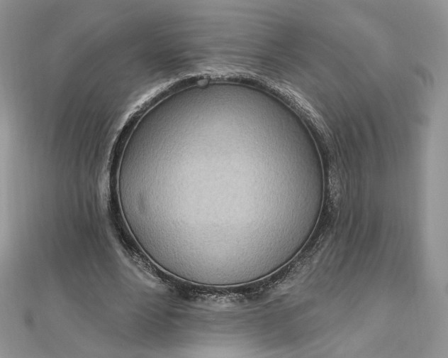 X0000112480488200908311414